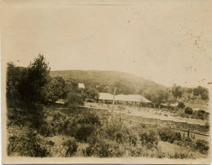 Davilak House, 1900-1910