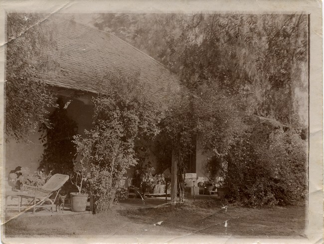 Sunken garden at Davilak House