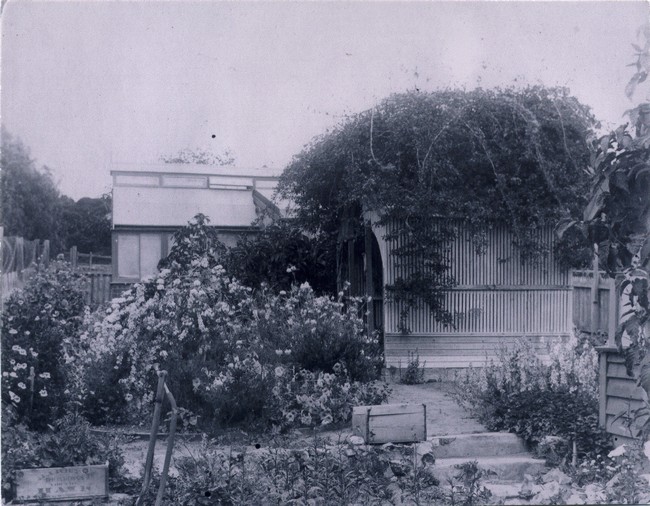 Orchid House at Davilak Estate