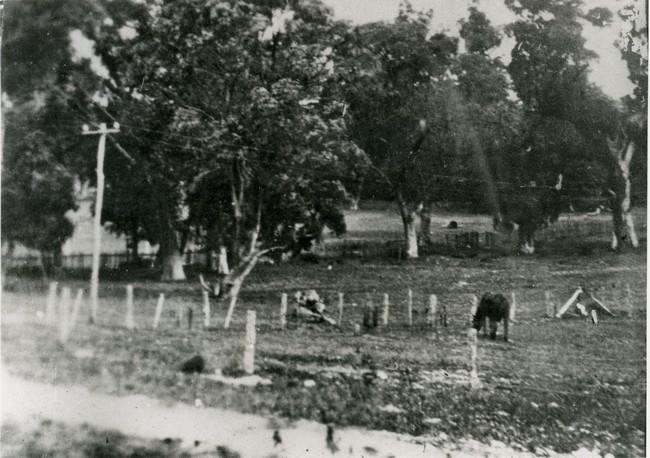 Davilak Oval, 1920-1930 