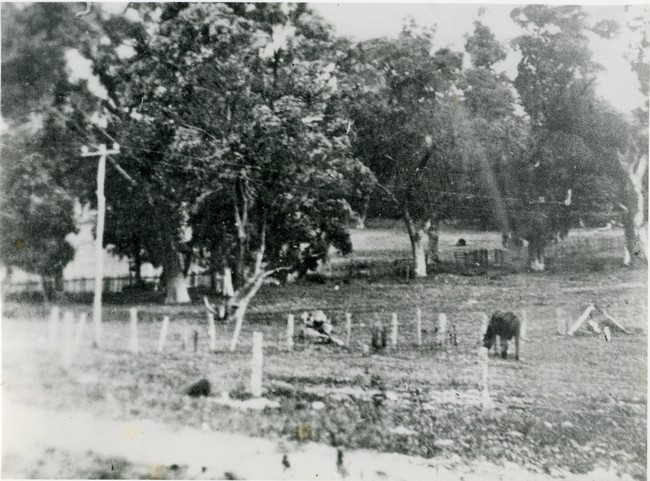 Davilak Oval, 1920-1930 