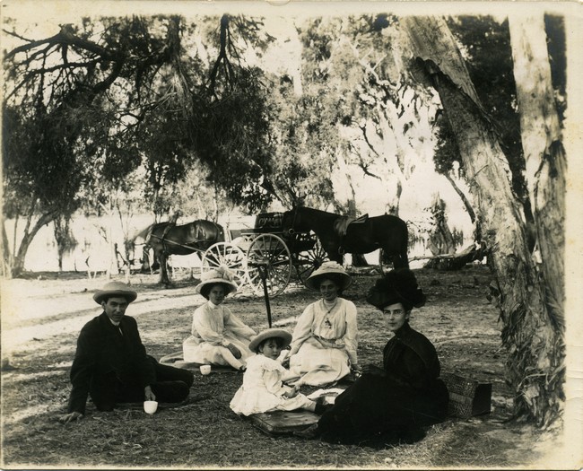 Family picnic 