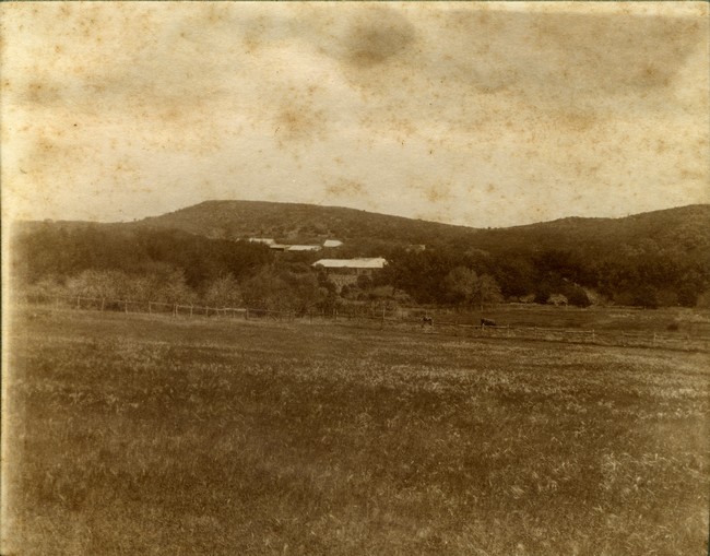 View of Davilak House from a distance