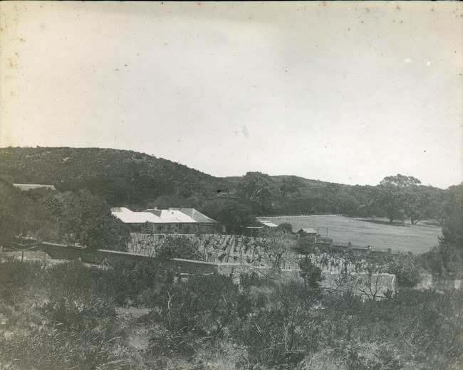 Davilak House and vineyard, 1900-1910 