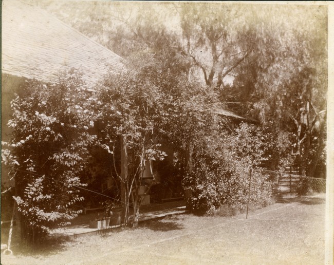Garden and part of Davilak House