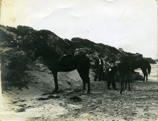 Horses and riders on the beach, 1900-1910