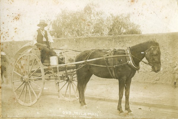 Mr. G.F. Powell on his high milk cart.