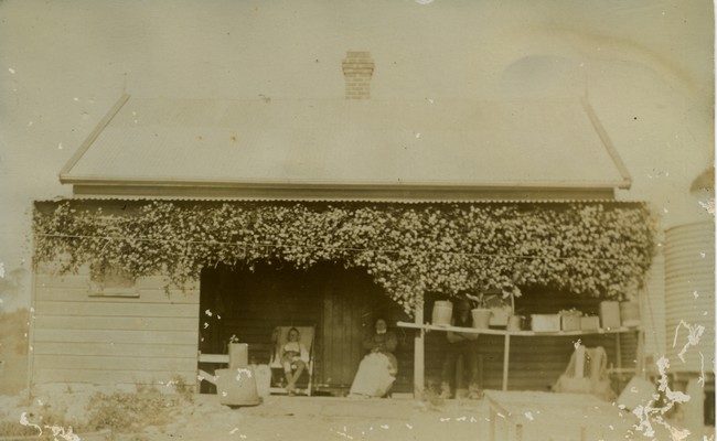 House with creeper on verandah taken in 1920s, from Thorsager collection. 